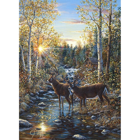 Whitetail Deer Black Modern Wood Framed Art Print by Tift, Jeff