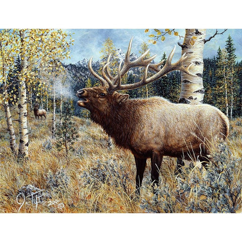Wapiti Black Modern Wood Framed Art Print by Tift, Jeff