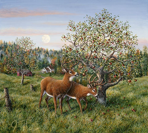 Whitetails Under The Apple Tree Black Ornate Wood Framed Art Print with Double Matting by Tift, Jeff
