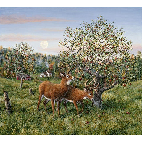 Whitetails Under The Apple Tree Black Modern Wood Framed Art Print by Tift, Jeff
