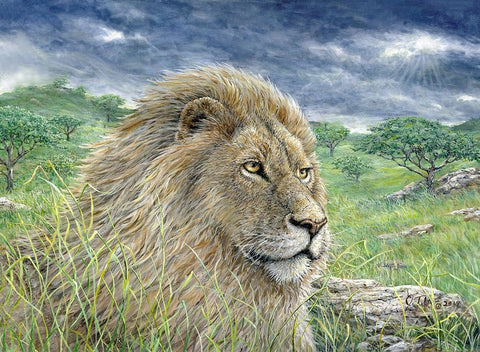 Lion Painting Finished 2 White Modern Wood Framed Art Print with Double Matting by Tift, Jeff