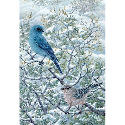 Winter Sage-Mt Bluebirds Black Modern Wood Framed Art Print by Tift, Jeff