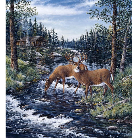 Peaceful Morning Black Modern Wood Framed Art Print with Double Matting by Tift, Jeff