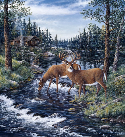 Peaceful Morning White Modern Wood Framed Art Print with Double Matting by Tift, Jeff