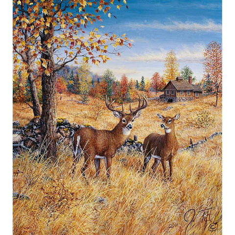 Colors Of Autumn White Modern Wood Framed Art Print by Tift, Jeff