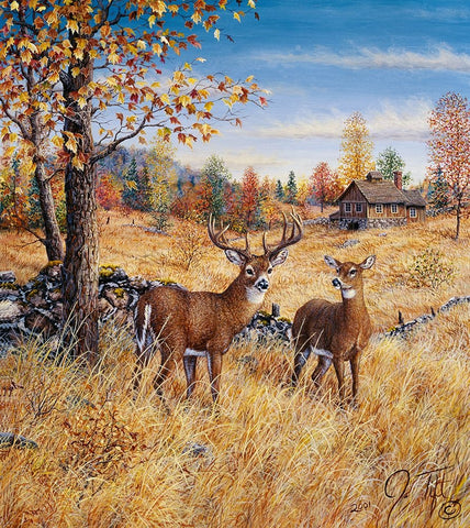 Colors Of Autumn White Modern Wood Framed Art Print with Double Matting by Tift, Jeff