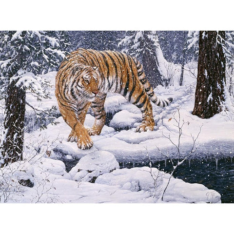 Silent Hunter- Siberian Tiger Gold Ornate Wood Framed Art Print with Double Matting by Tift, Jeff