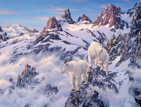 Among The Clouds - Mtn. Goat Black Ornate Wood Framed Art Print with Double Matting by Tift, Jeff