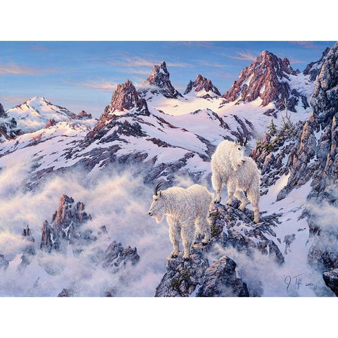 Among The Clouds - Mtn. Goat Black Modern Wood Framed Art Print by Tift, Jeff