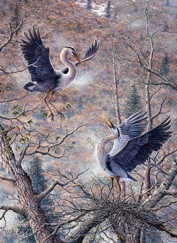 Nesting Time - Great Blue Herons White Modern Wood Framed Art Print with Double Matting by Tift, Jeff