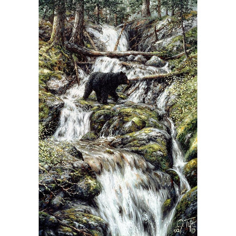 Bear Creek Crossing Black Modern Wood Framed Art Print with Double Matting by Tift, Jeff