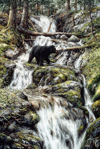 Bear Creek Crossing White Modern Wood Framed Art Print with Double Matting by Tift, Jeff