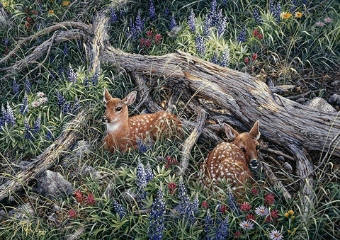 Fawns And Flowers White Modern Wood Framed Art Print with Double Matting by Tift, Jeff