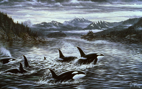 Whales White Modern Wood Framed Art Print with Double Matting by Tift, Jeff