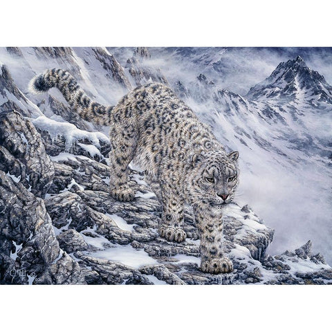 Snow Leopard White Modern Wood Framed Art Print by Tift, Jeff
