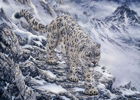 Snow Leopard White Modern Wood Framed Art Print with Double Matting by Tift, Jeff