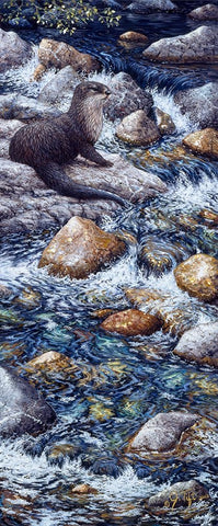 River Otter 2 White Modern Wood Framed Art Print with Double Matting by Tift, Jeff