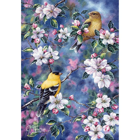 Gold Finch And Blossoms Black Modern Wood Framed Art Print with Double Matting by Tift, Jeff