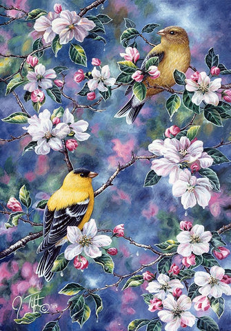 Gold Finch And Blossoms Black Ornate Wood Framed Art Print with Double Matting by Tift, Jeff