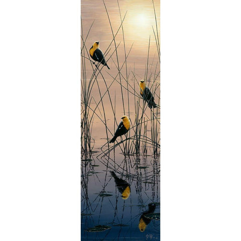 Morning Call - Yellow Headed Blackbirds Gold Ornate Wood Framed Art Print with Double Matting by Tift, Jeff