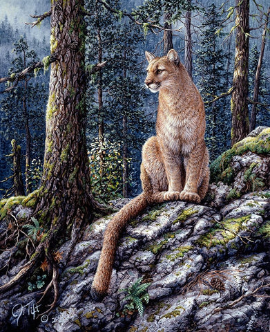King Of The Forest White Modern Wood Framed Art Print with Double Matting by Tift, Jeff