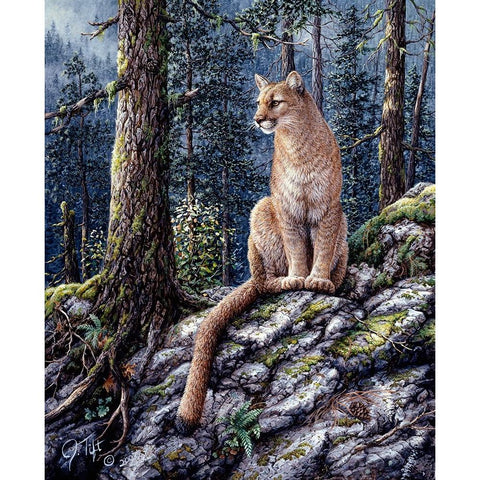 King Of The Forest Black Modern Wood Framed Art Print with Double Matting by Tift, Jeff