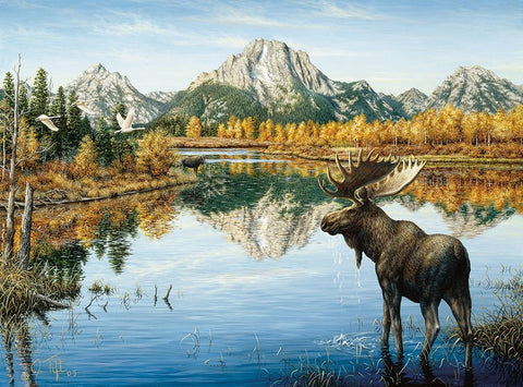 Bull Moose Black Ornate Wood Framed Art Print with Double Matting by Tift, Jeff