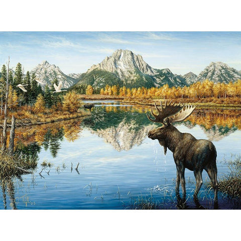 Bull Moose Black Modern Wood Framed Art Print by Tift, Jeff