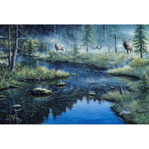Misty Morning White Modern Wood Framed Art Print by Tift, Jeff
