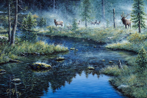 Misty Morning Black Ornate Wood Framed Art Print with Double Matting by Tift, Jeff