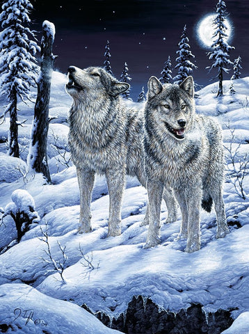 Lunar Calling Black Ornate Wood Framed Art Print with Double Matting by Tift, Jeff