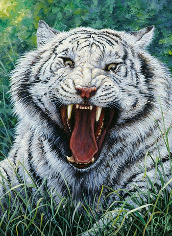 White Tiger 2 Black Ornate Wood Framed Art Print with Double Matting by Tift, Jeff