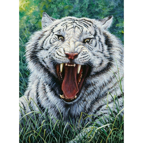 White Tiger 2 Black Modern Wood Framed Art Print with Double Matting by Tift, Jeff