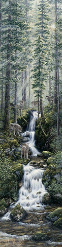 Cascade Wolves Black Ornate Wood Framed Art Print with Double Matting by Tift, Jeff