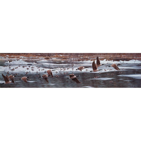 Along The Waterfront Black Modern Wood Framed Art Print by Tift, Jeff