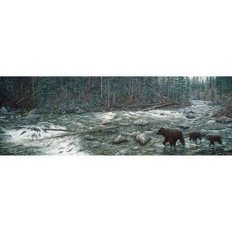 Cool Creek Black Modern Wood Framed Art Print with Double Matting by Tift, Jeff