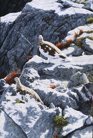 Ghosts Of The High Country Black Ornate Wood Framed Art Print with Double Matting by Tift, Jeff