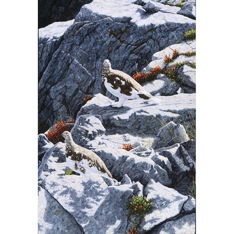 Ghosts Of The High Country Black Modern Wood Framed Art Print by Tift, Jeff