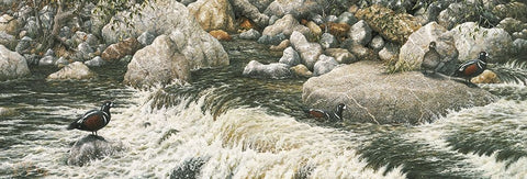 Swift Water Black Ornate Wood Framed Art Print with Double Matting by Tift, Jeff