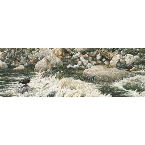 Swift Water Black Modern Wood Framed Art Print by Tift, Jeff