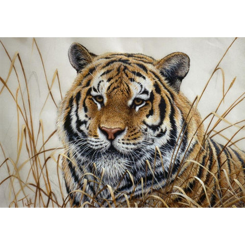 Tiger Gold Ornate Wood Framed Art Print with Double Matting by Tift, Jeff