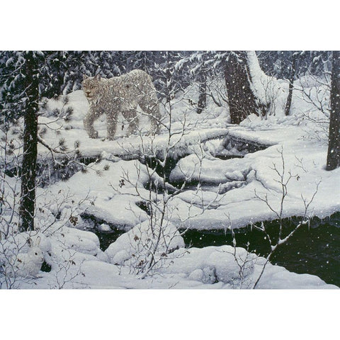 Canadian Lynx And Snowshoe Hare Gold Ornate Wood Framed Art Print with Double Matting by Tift, Jeff