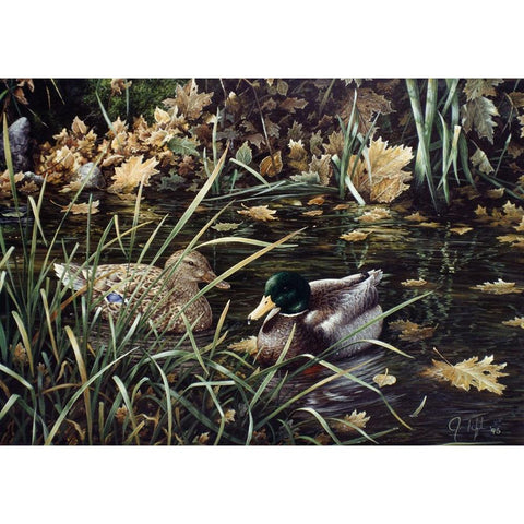 Mallards Gold Ornate Wood Framed Art Print with Double Matting by Tift, Jeff