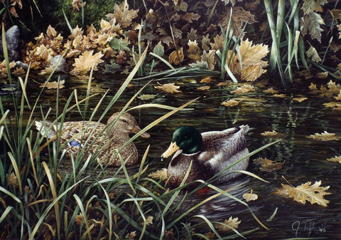 Mallards Black Ornate Wood Framed Art Print with Double Matting by Tift, Jeff