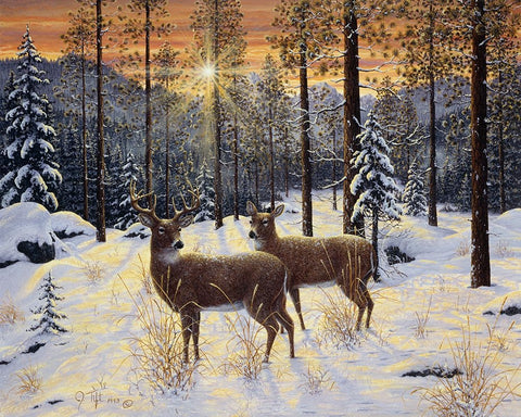 Evening Silence White Modern Wood Framed Art Print with Double Matting by Tift, Jeff