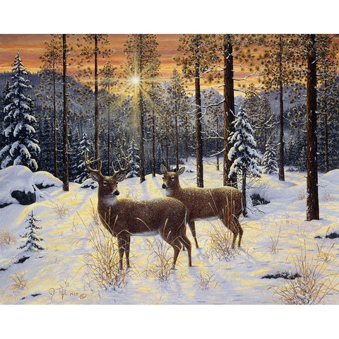 Evening Silence Black Modern Wood Framed Art Print by Tift, Jeff
