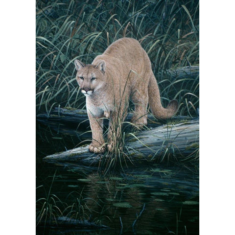 Sudden Intent Gold Ornate Wood Framed Art Print with Double Matting by Tift, Jeff