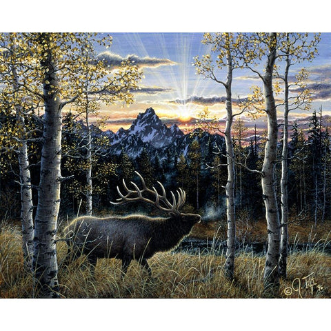 Dawn Of Light Black Modern Wood Framed Art Print with Double Matting by Tift, Jeff
