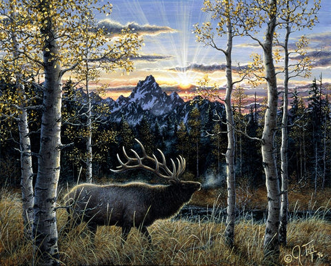 Dawn Of Light Black Ornate Wood Framed Art Print with Double Matting by Tift, Jeff