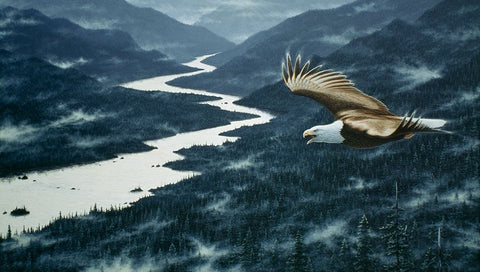 On The Silent Wings Of Freedom White Modern Wood Framed Art Print with Double Matting by Tift, Jeff